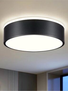 Black Flush Mount Ceiling Light
